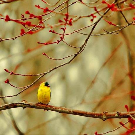 Hosted by imgur.com 20 fotografias impresionantes por Raceytay Fotografía