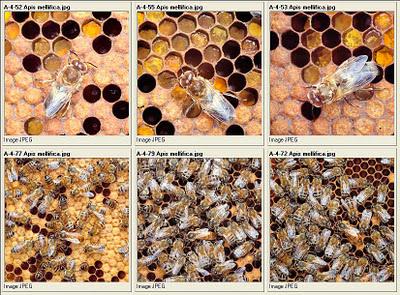 Relatando entre sonrisas-44 (Loca por los tacones)