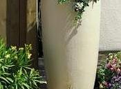 Macetero recoge agua lluvia