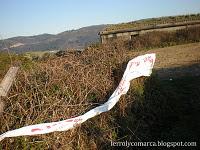 A jugar al monte con los chuchos