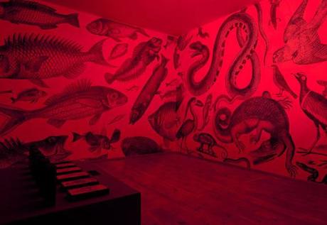 RGB :: exposición de espectros