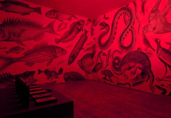 RGB :: exposición de espectros