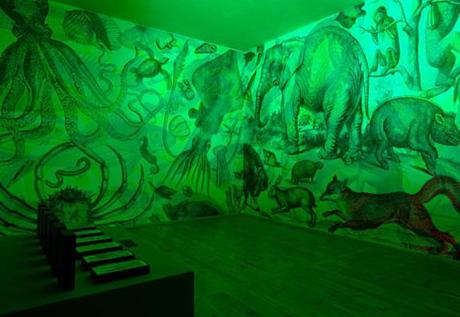 RGB :: exposición de espectros