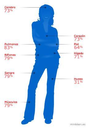 el agua en el cuerpo Distribución del agua en el organismo