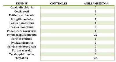Viveros del Parque del Alamillo (SE)  --  4/01/12