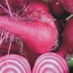 Remolacha