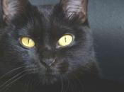 viernes sinónimo suerte para algunos mala fortuna otros