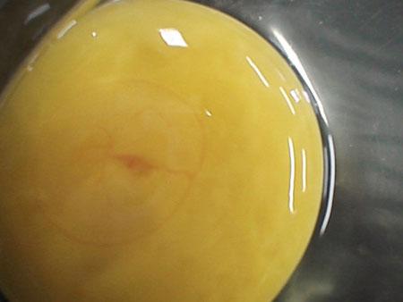De huevo a pollo en una placa de Petri