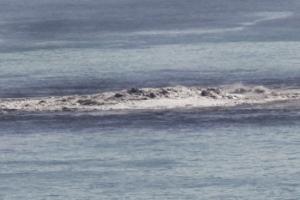 Foto: Desirèé Martín