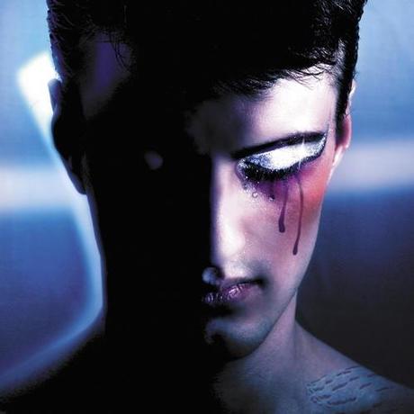 Familia de zorros Familia de zorros