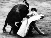 Siempre Julio Robles