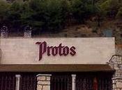 Protos... Ribera Duero 100%