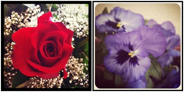 Mis iPhotos: Diciembre