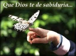 Cómo adquirir sabiduría