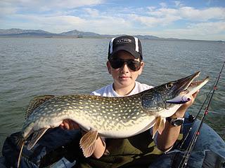 Bajan las temperaturas, baja la actividad