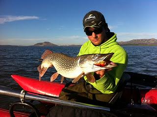 Bajan las temperaturas, baja la actividad