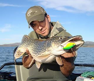 Bajan las temperaturas, baja la actividad