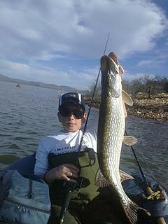 Bajan las temperaturas, baja la actividad