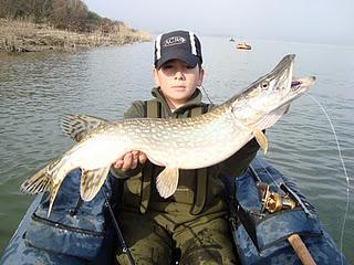 Bajan las temperaturas, baja la actividad