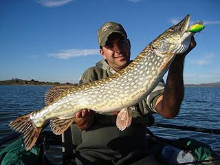 Bajan las temperaturas, baja la actividad
