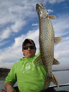 Bajan las temperaturas, baja la actividad