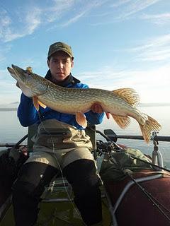 Bajan las temperaturas, baja la actividad