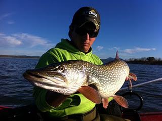 Bajan las temperaturas, baja la actividad