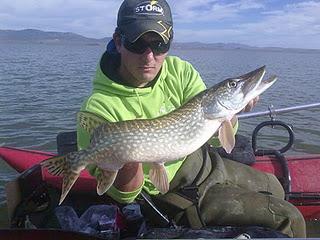 Bajan las temperaturas, baja la actividad