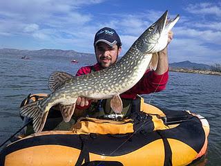 Bajan las temperaturas, baja la actividad