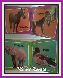 BITS DE INTELEGENCIA