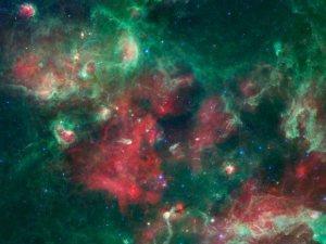 Un vistazo de cerca a una guardería estelar