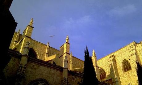 Catedral de Palencia y cigüeña