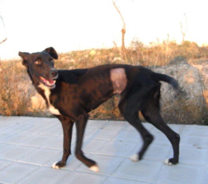 Novedades de Flaquita