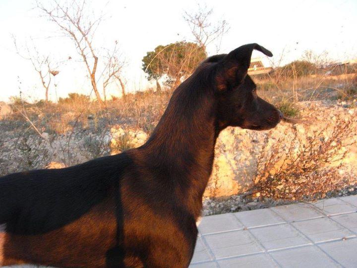 Novedades de Flaquita