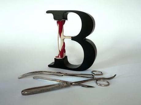 Evolution of Type :: autopsia tipográfica de Andreas Scheiger