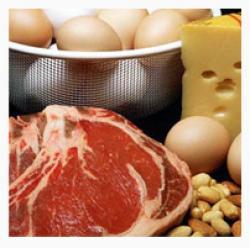 ¿Que son las Proteínas?