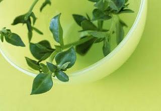 LEY DE MEDICINA NATURAL: UN EJEMPLO AL MUNDO