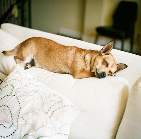 Quedamos en el salón