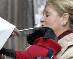 San Antonio Abad y los animales