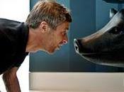 poeta visual: Fotógrafo diseños interiores