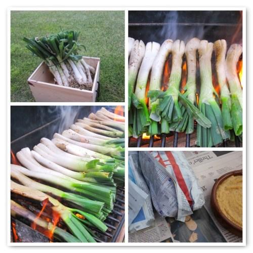Los calçots de este año.