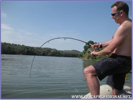 PESCA CON GUIA DE SILUROS AL LANZADO