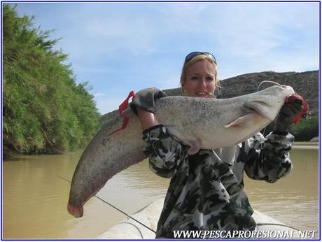 PESCA CON GUIA DE SILUROS AL LANZADO