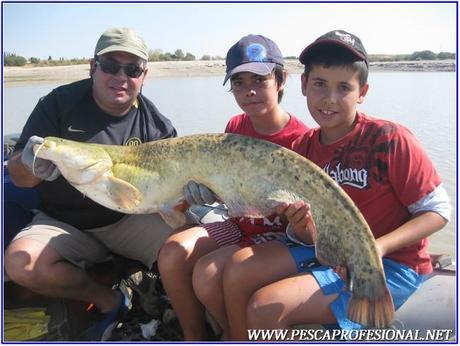 PESCA CON GUIA DE SILUROS AL LANZADO