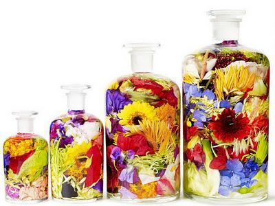 Azuma Makoto, arte a través de las plantas