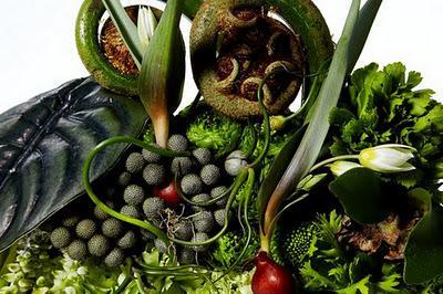 Azuma Makoto, arte a través de las plantas