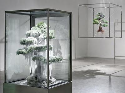 Azuma Makoto, arte a través de las plantas