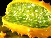 Kiwano, Fruta