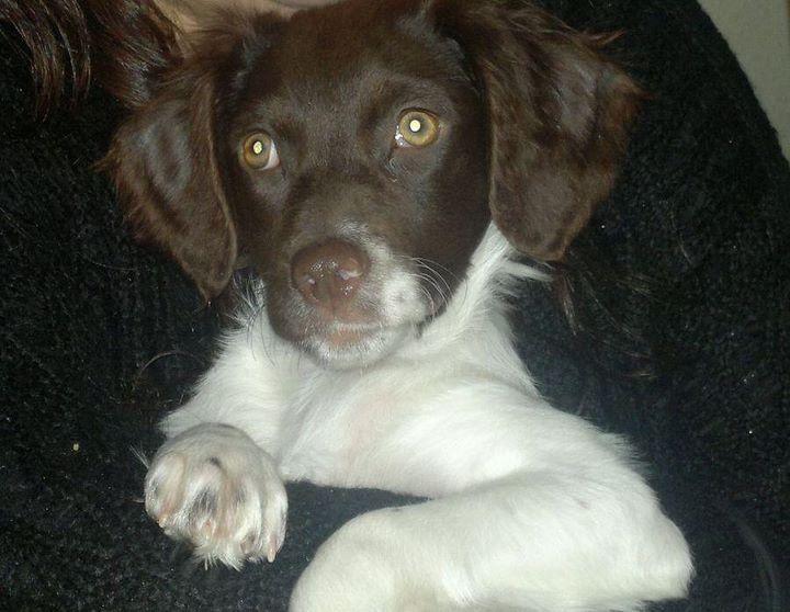 Engañando al destino. La historia de Ashia