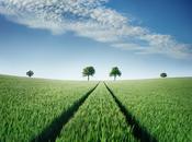 Sigue destino… adonde lleve